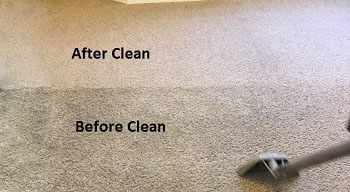 Empty Carpet Cleaning